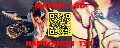 сатива Шахты