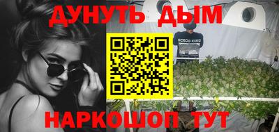 сатива Шахты