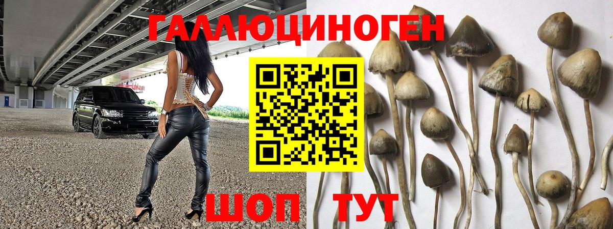 Галлюциногенные грибы мухоморы Избербаш
